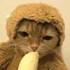 banana_k